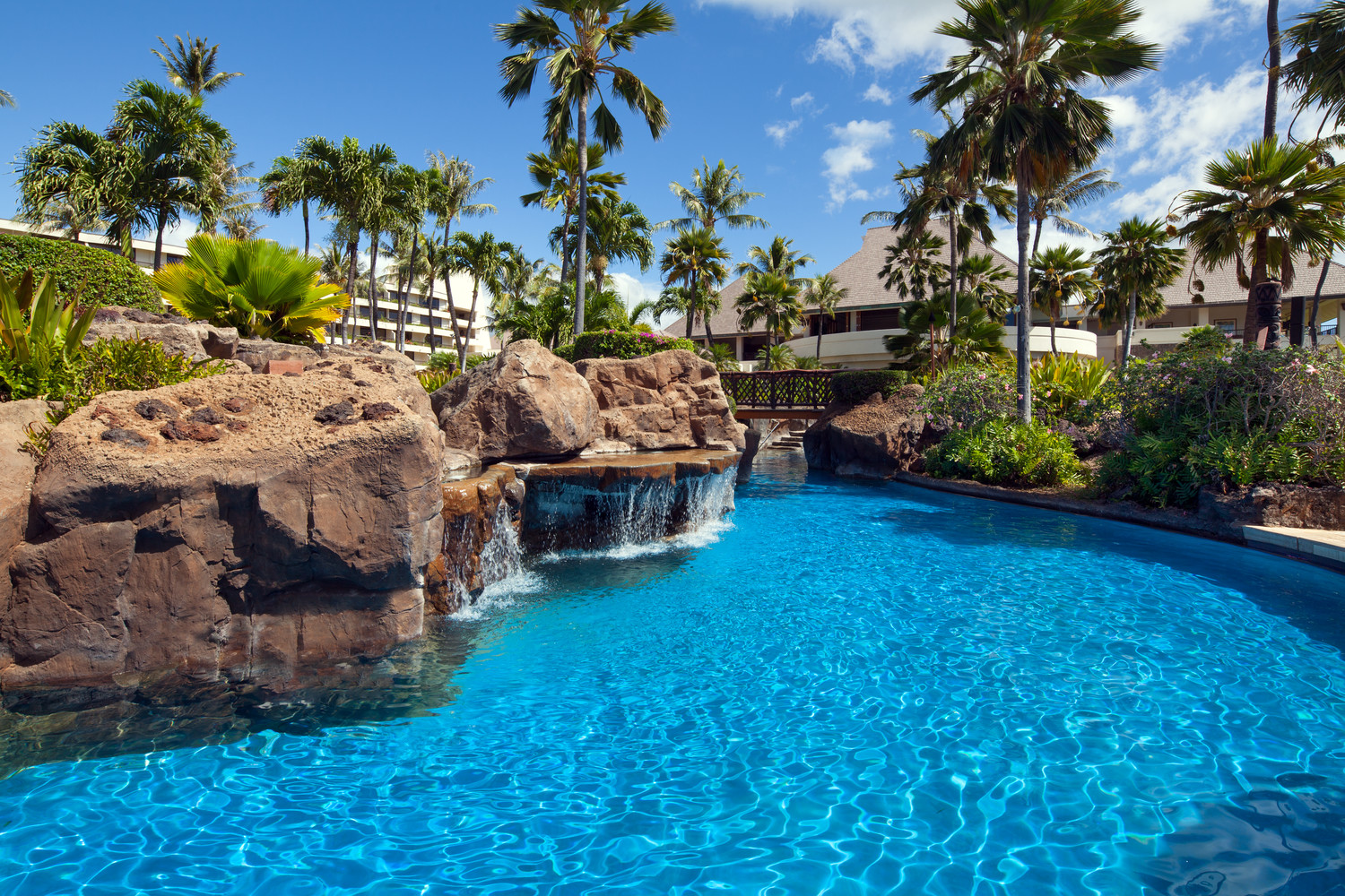a pool with a waterfall and palm trees
