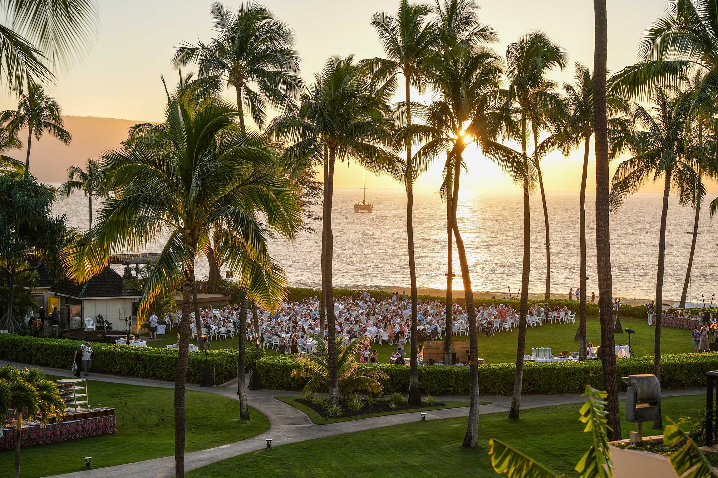 a group of people in a park with palm trees and a body of water