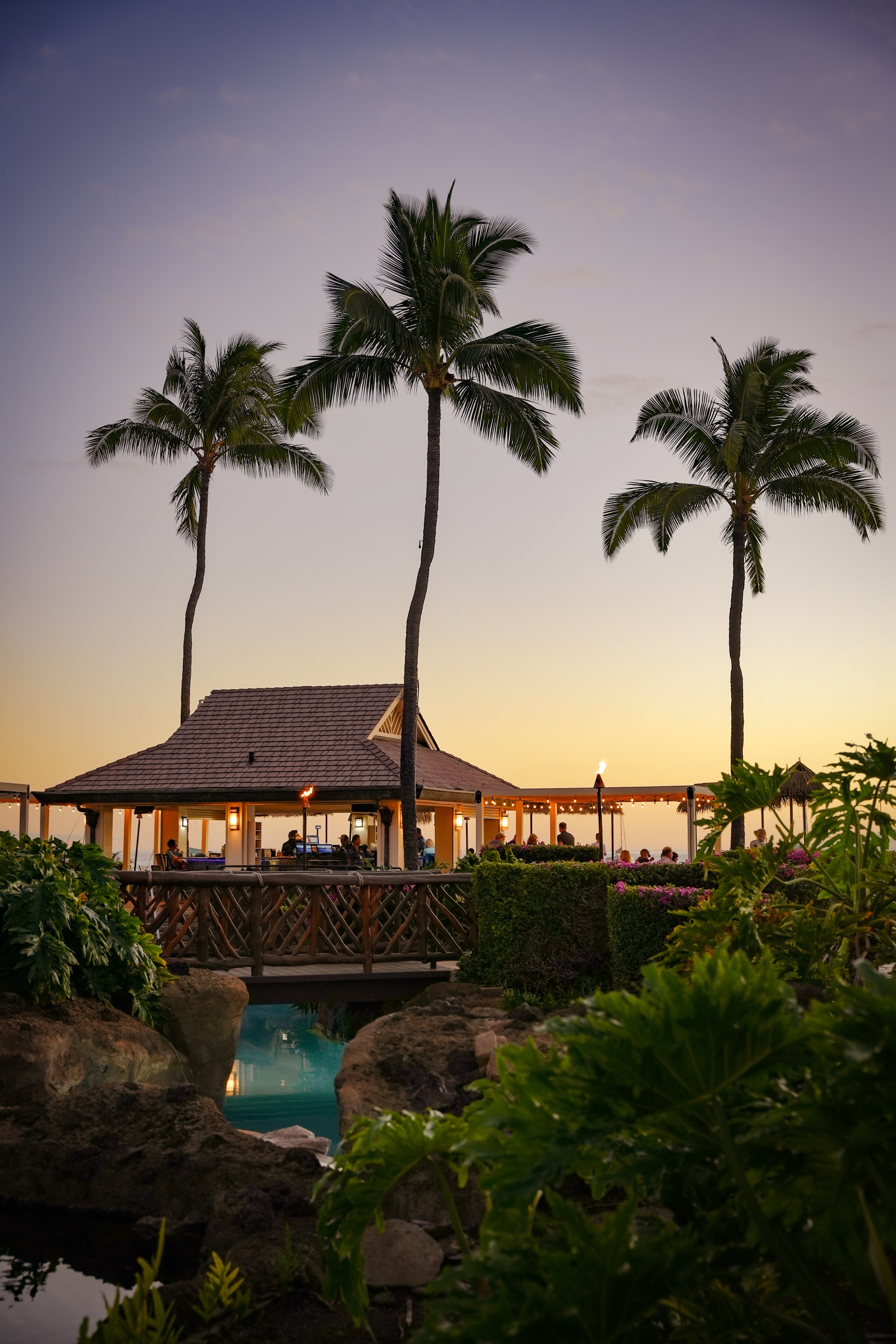 a gazebo with palm trees and a pool