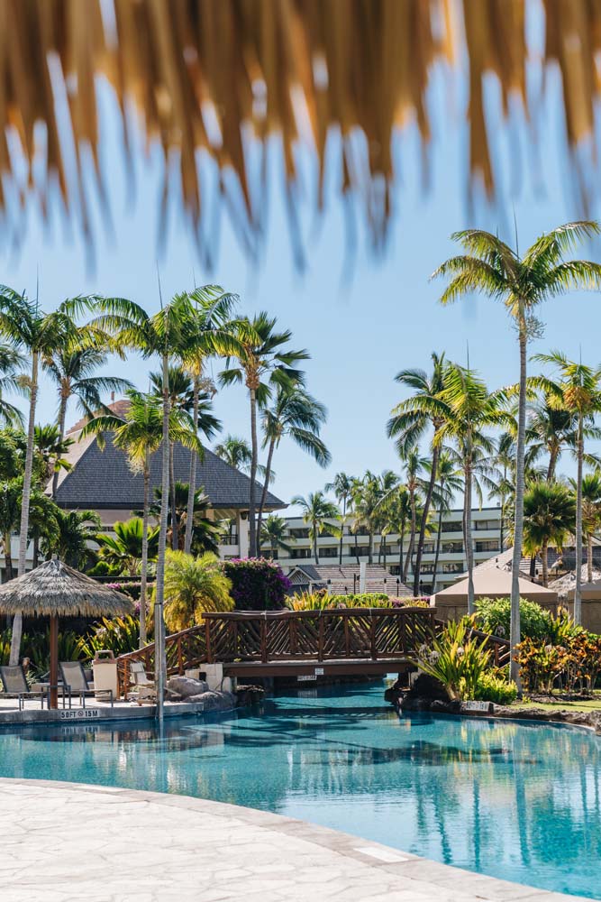 a pool with palm trees and a bridge