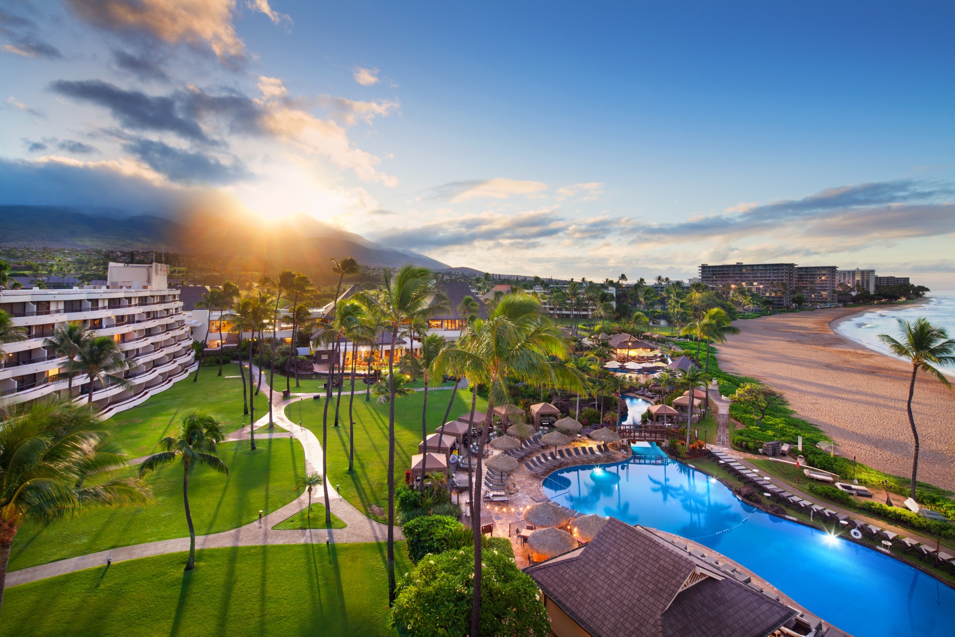 a resort with a pool and palm trees