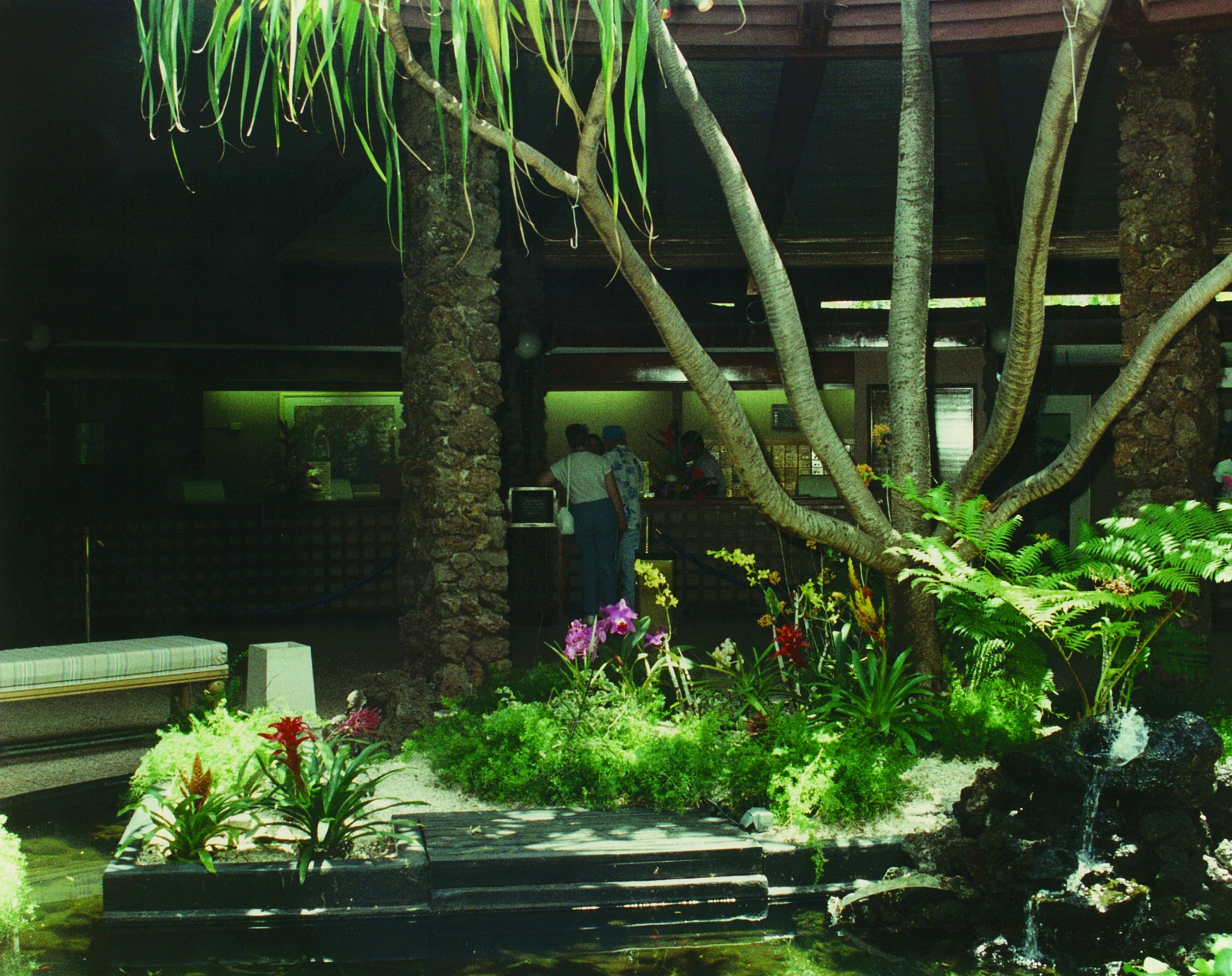 a man standing in front of a building with a tree and plants