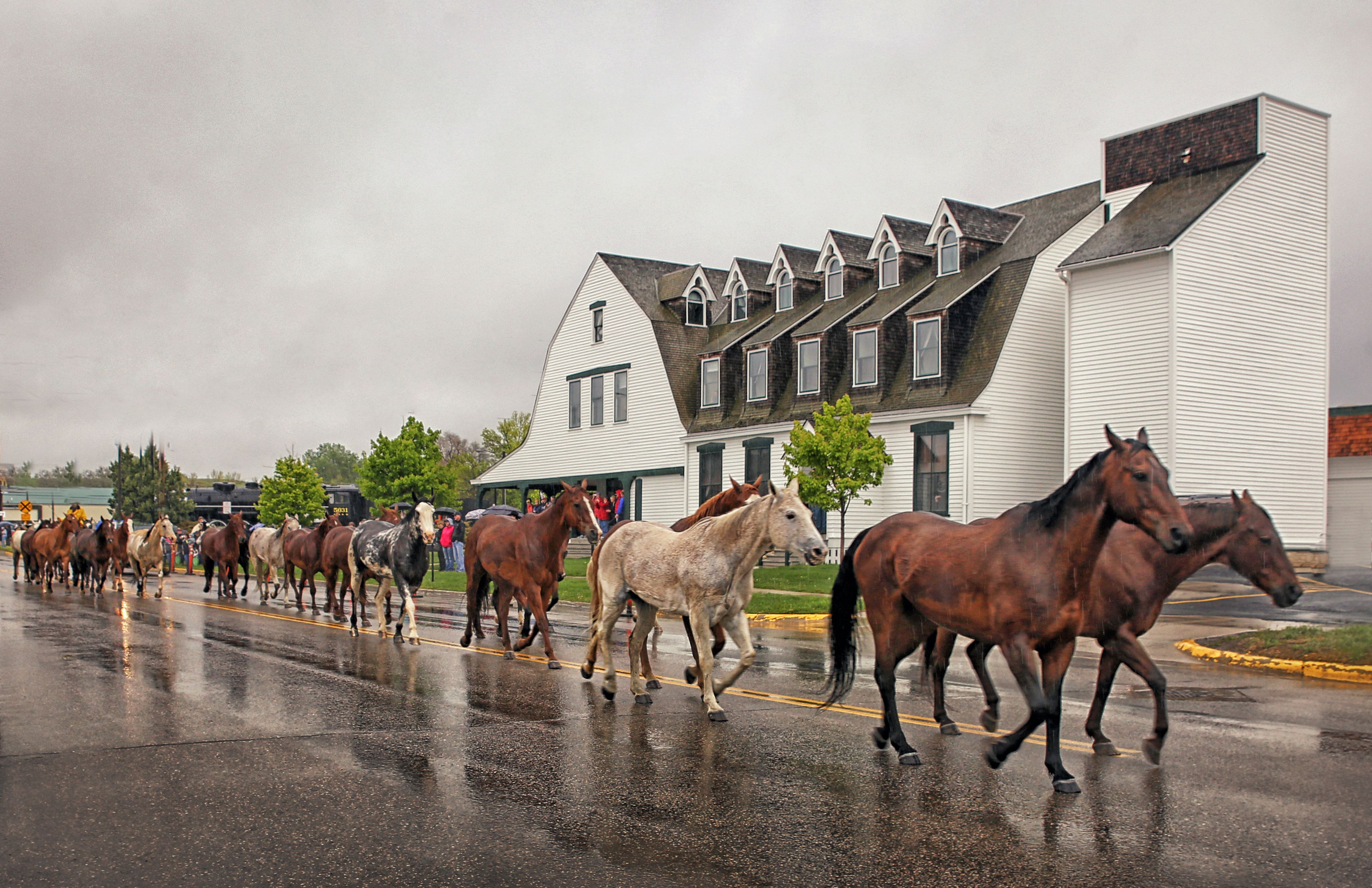 image of horses passing exterior sheridan inn wyoming_high