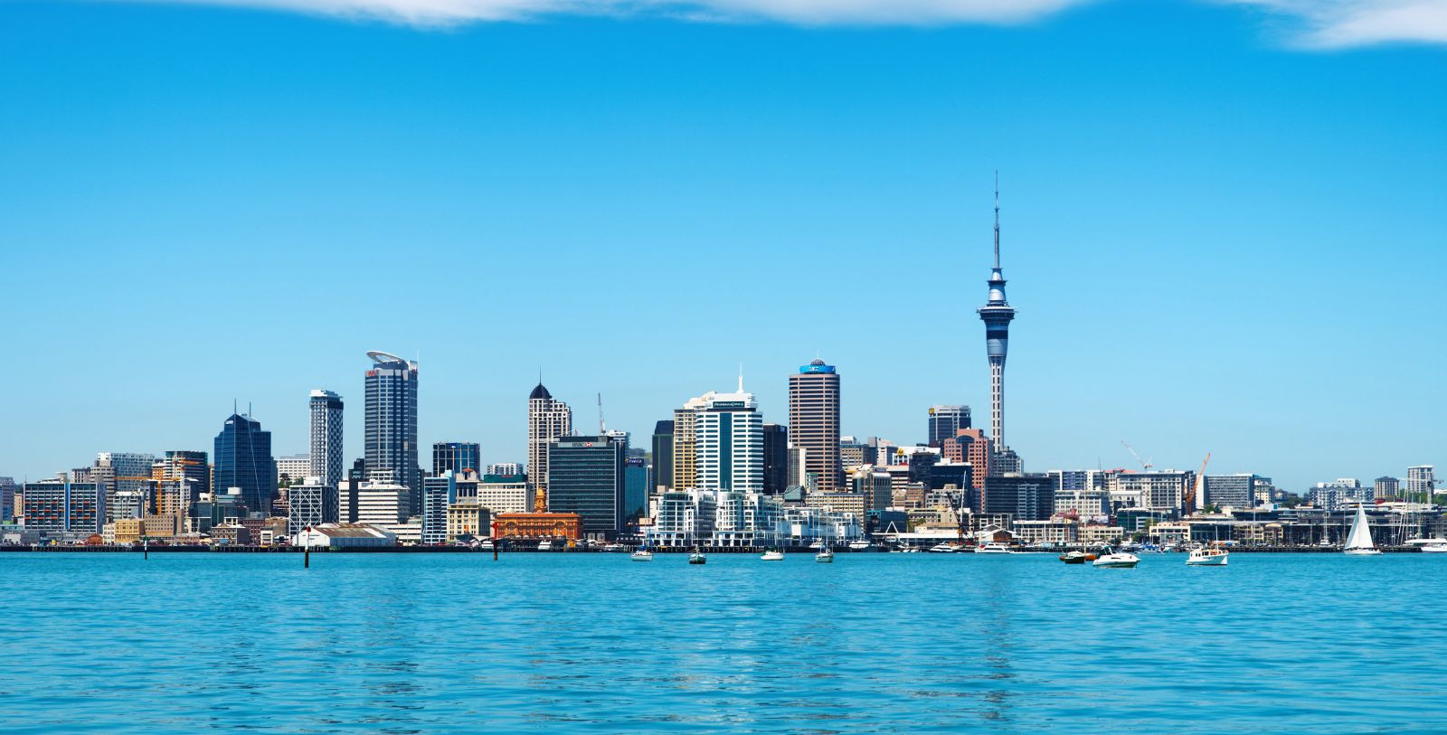 _so_auckland discover 1600x813 2