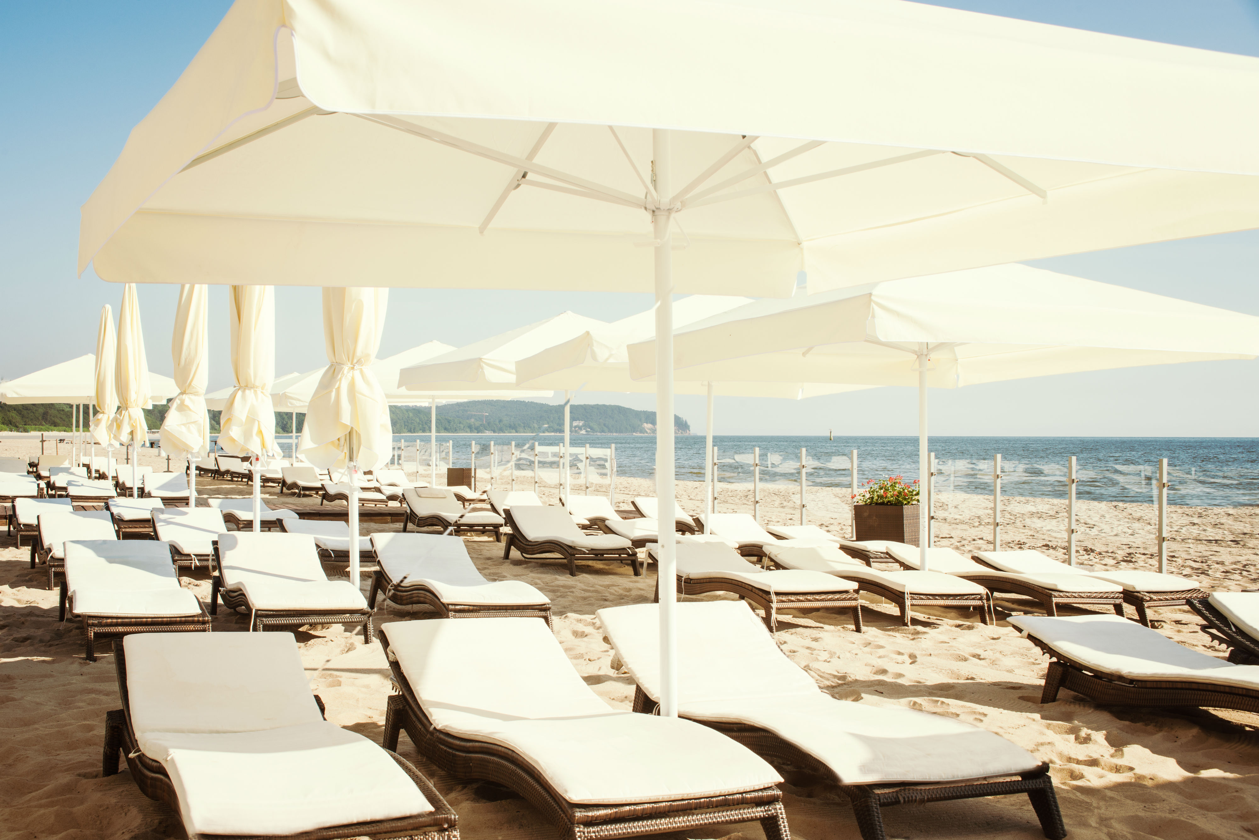 a beach with white umbrellas and lounge chairs
