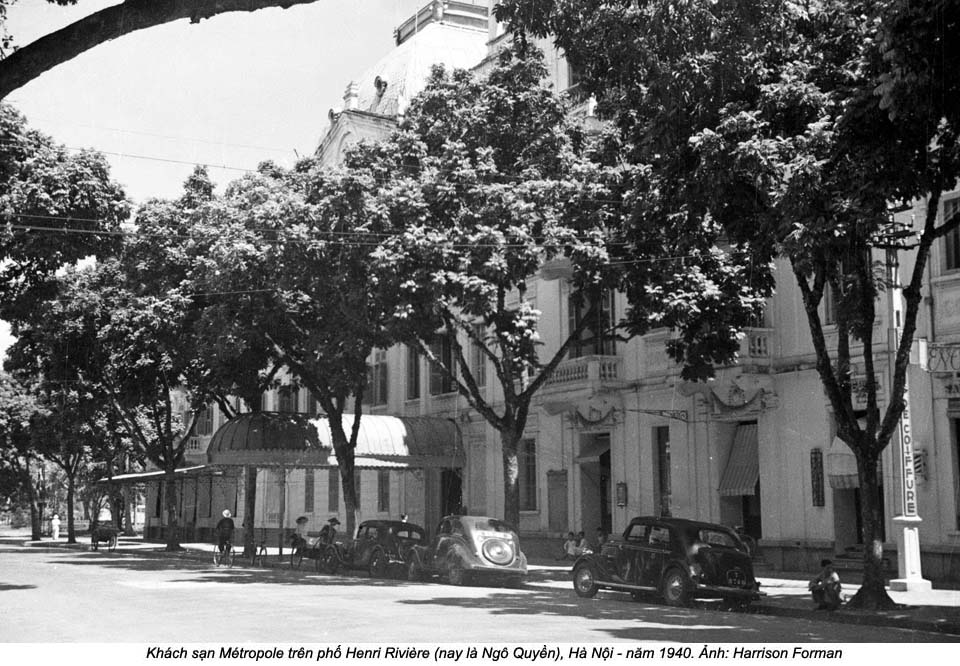 a black and white photo of a street with cars and trees