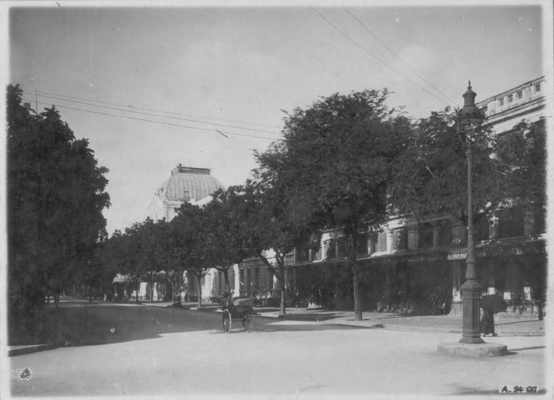 a black and white photo of a street with trees and a building