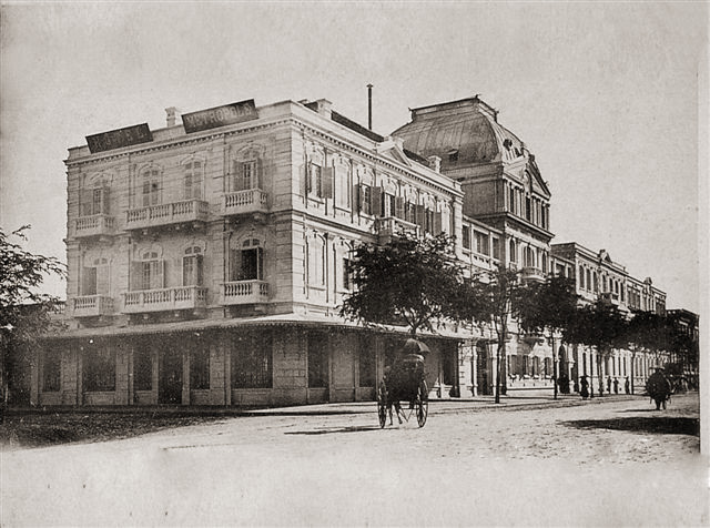 a horse carriage on the street