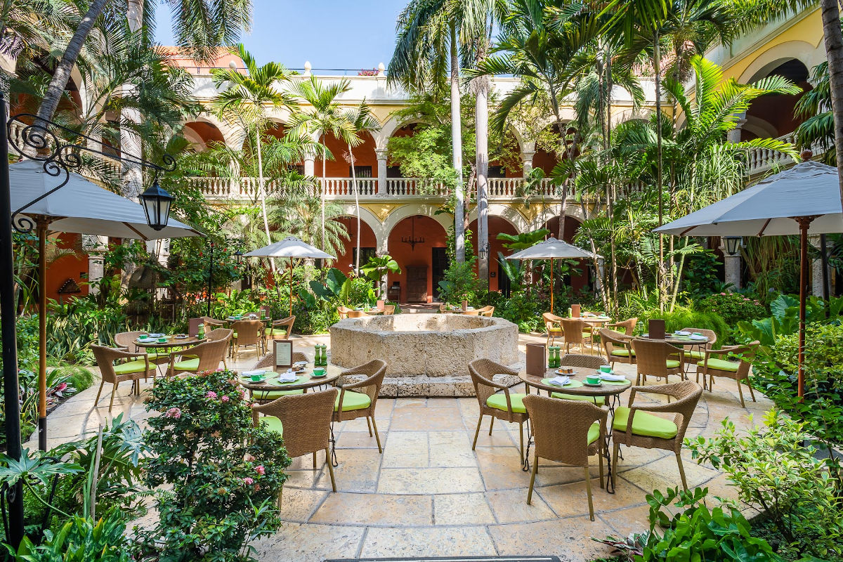 a patio with tables and chairs in a courtyard with trees and plants