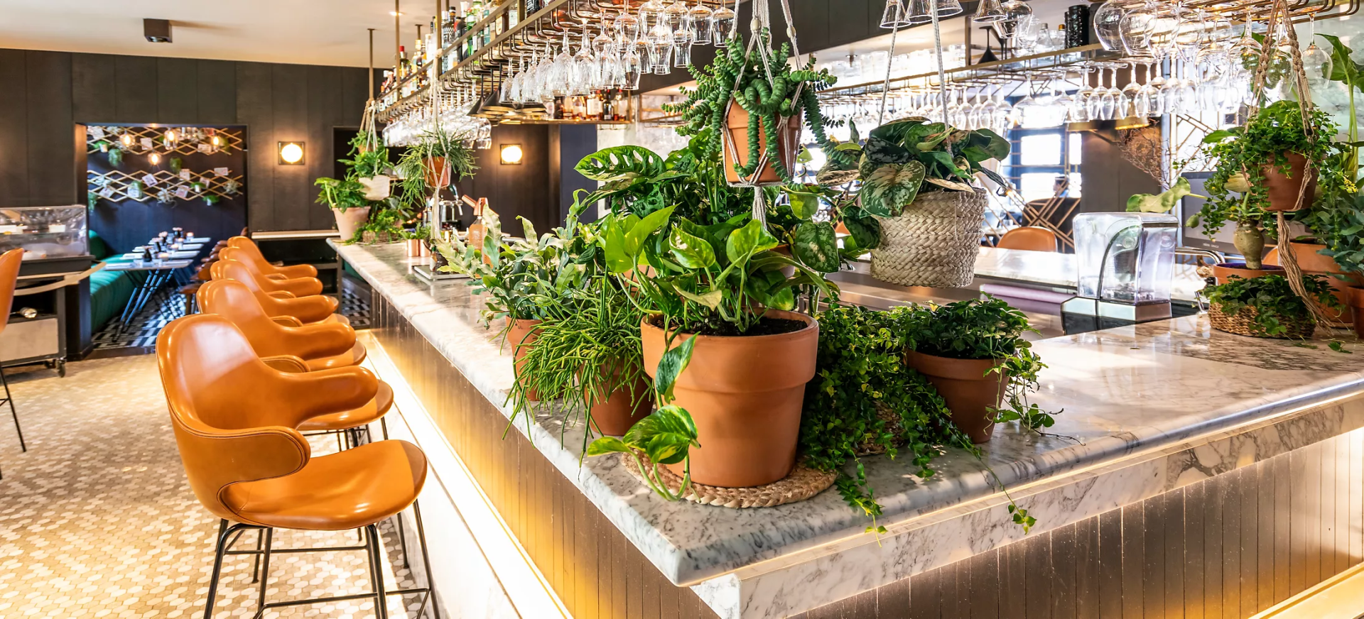 a bar with plants on it