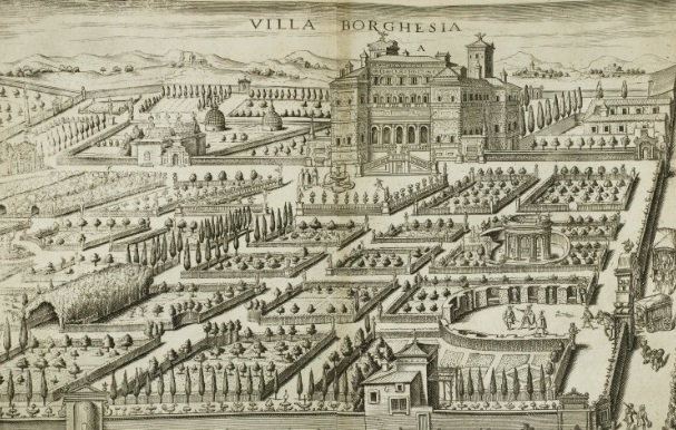 a drawing of a garden