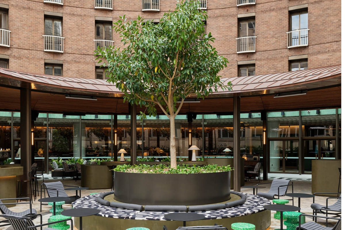 a tree in a pot in front of a building