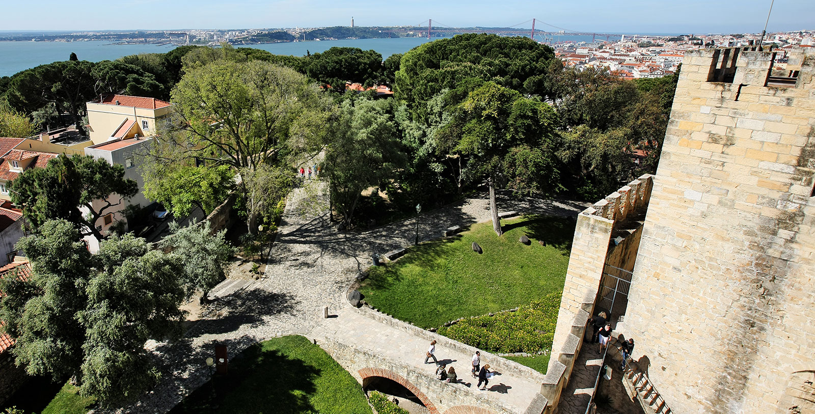 a group of people walking in a park