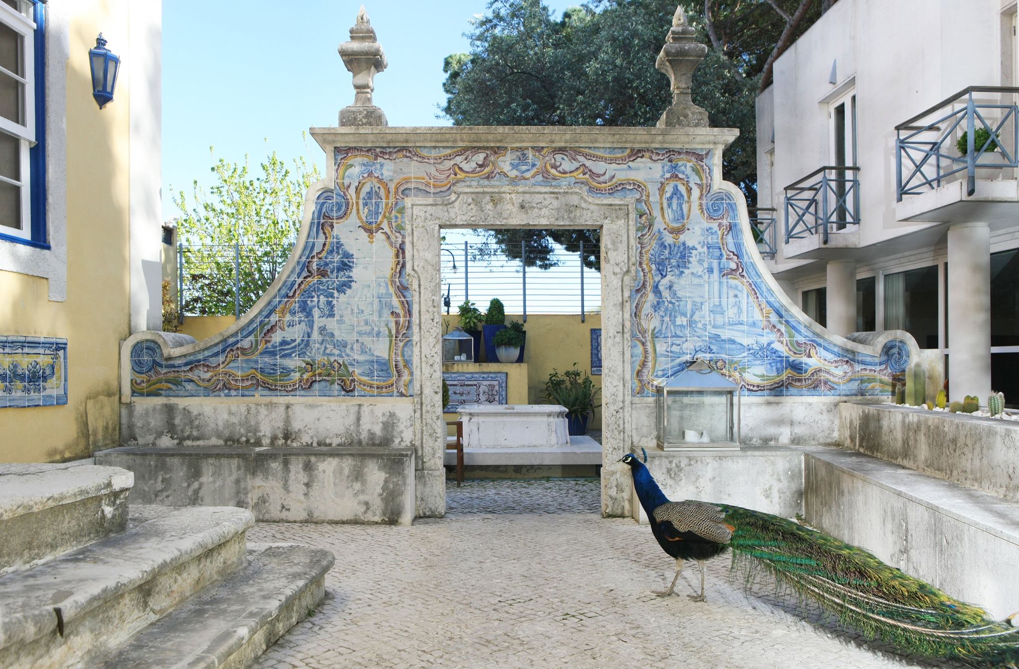 a peacock standing in front of a stone archway