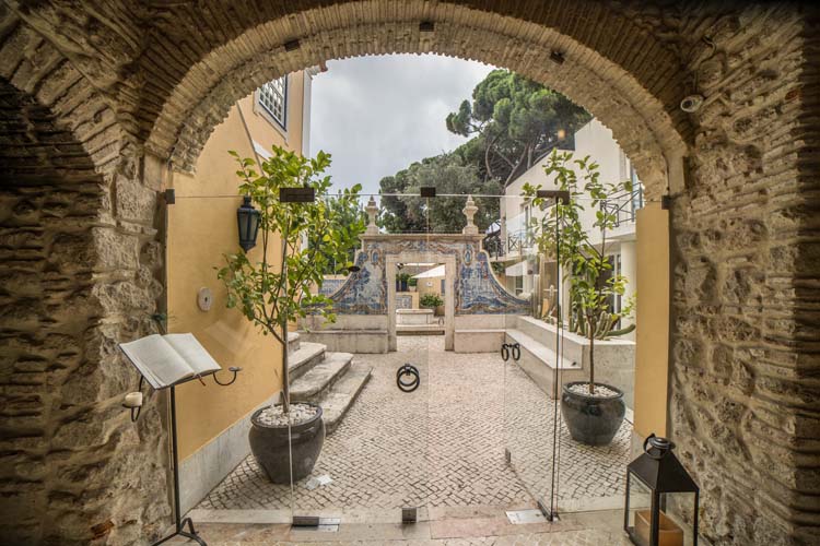 a glass door with plants in pots