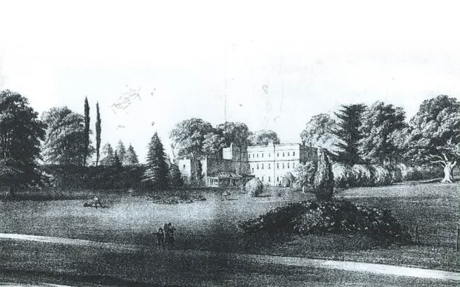 a drawing of a building and trees