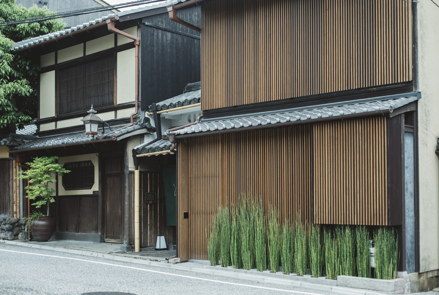a row of buildings with a row of plants