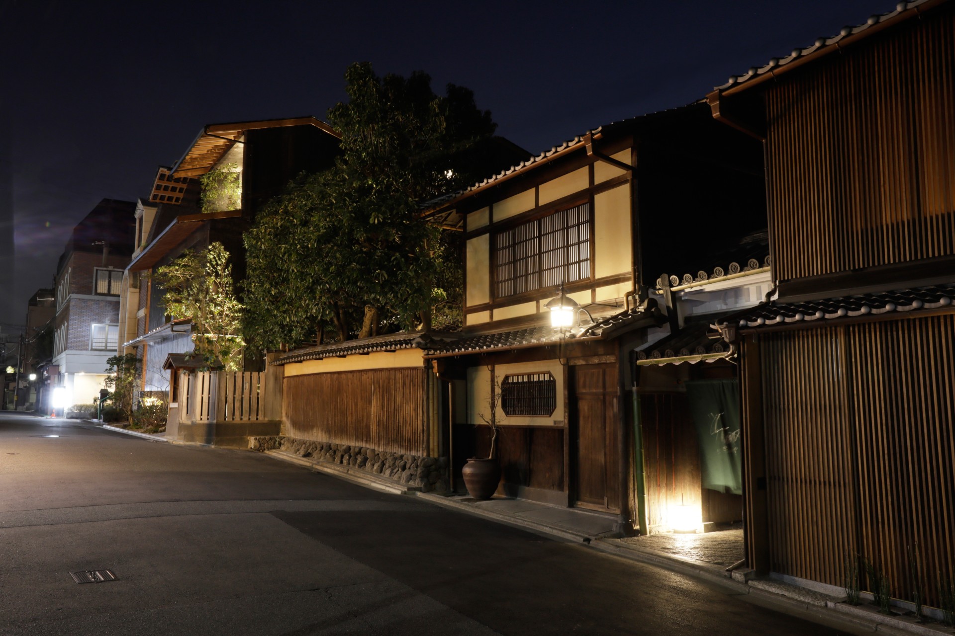 a street with buildings and trees at night