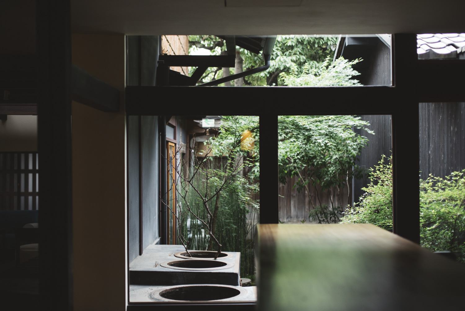 a window with a tree in the back