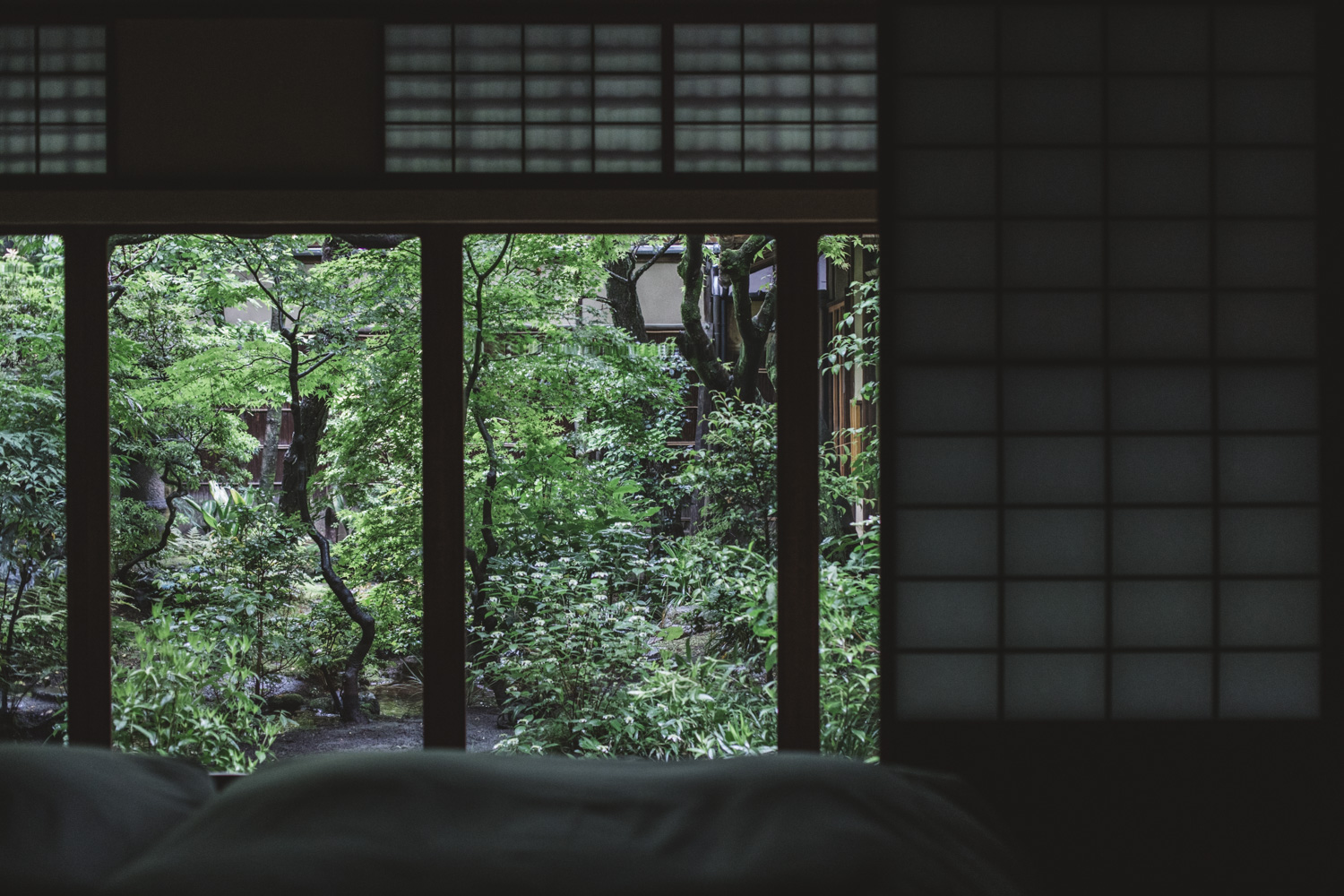 a room with a window and trees
