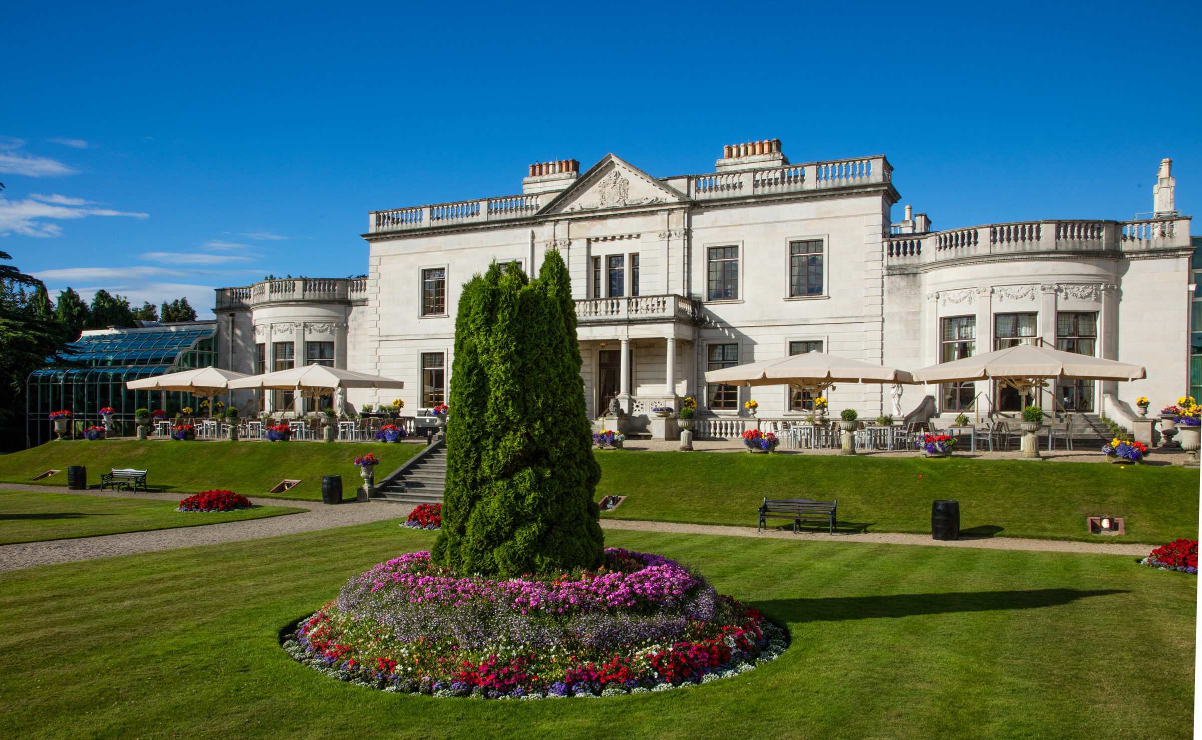a large white building with a large green lawn and a large tree in the middle