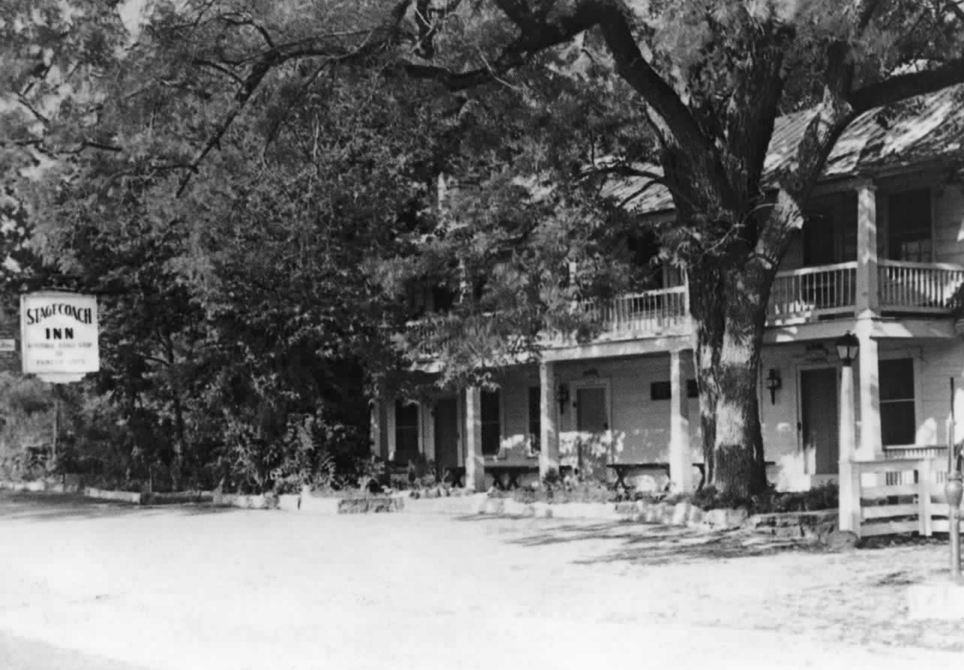 a house with a large tree