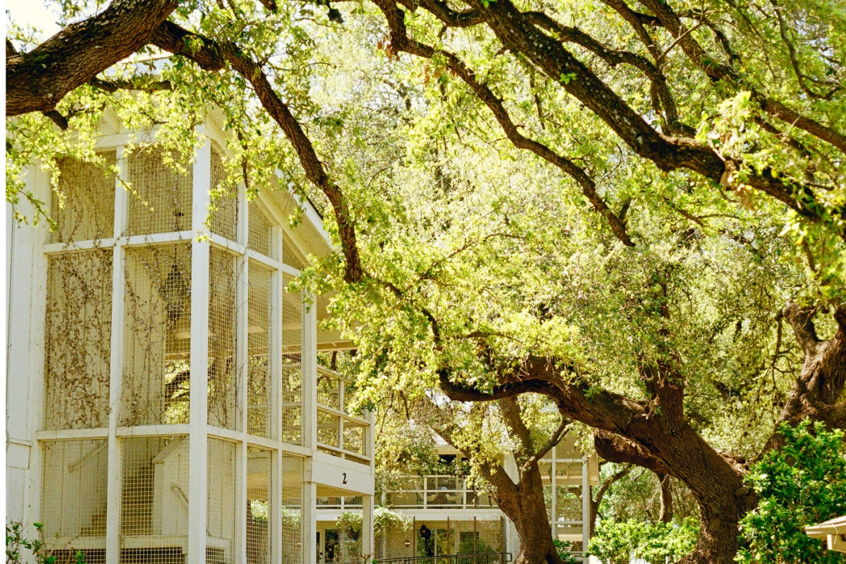 a bird cage in a park