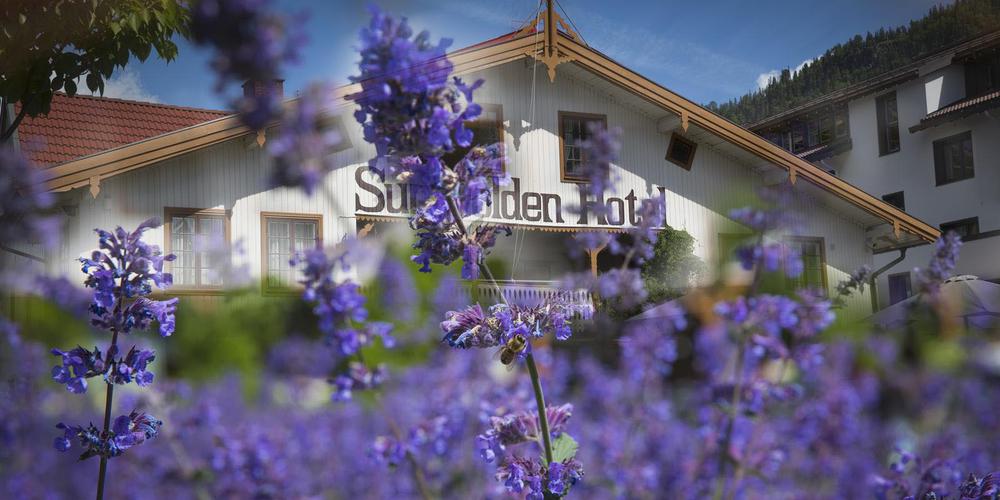 a building with purple flowers