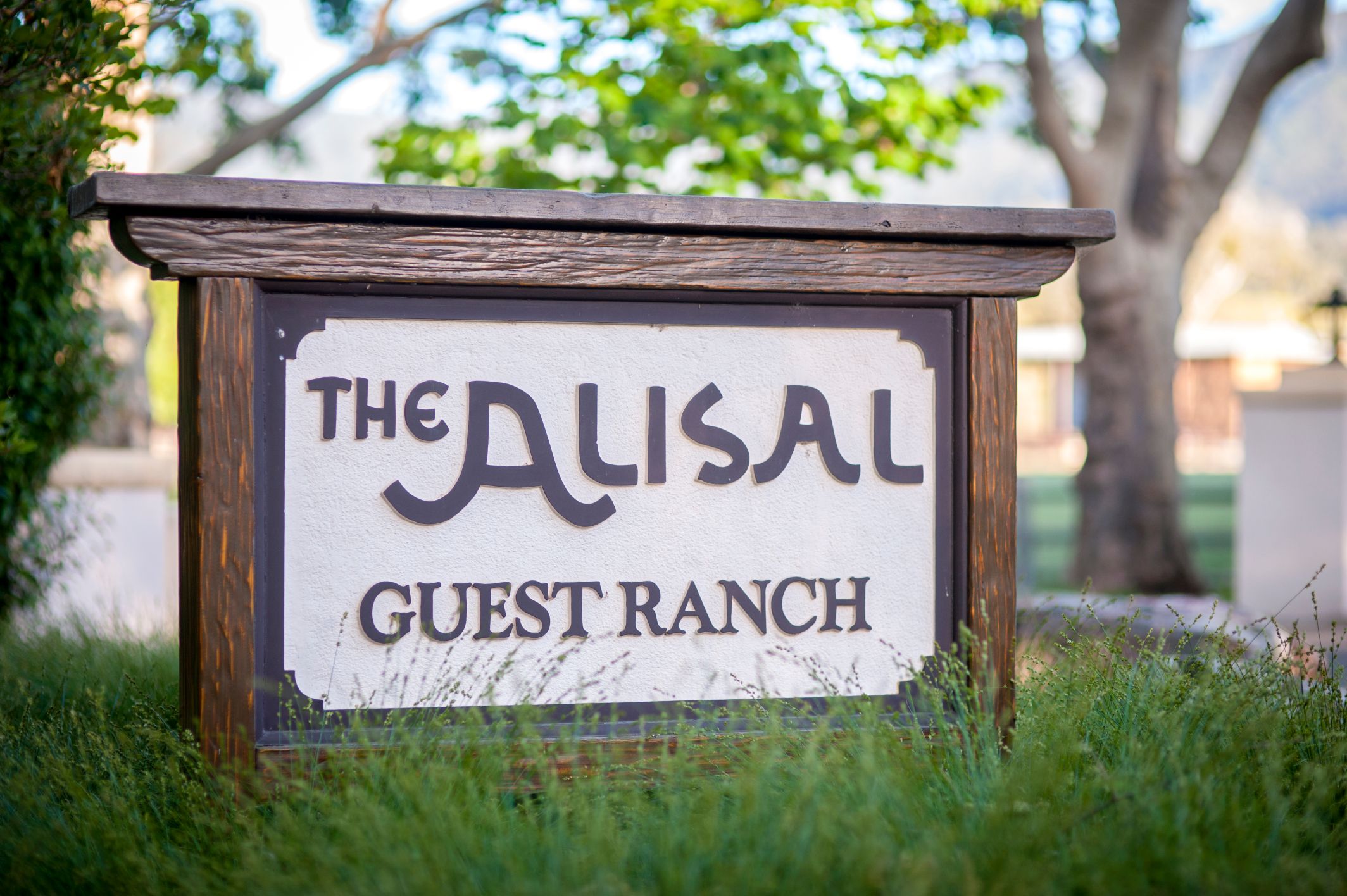 a sign in the grass