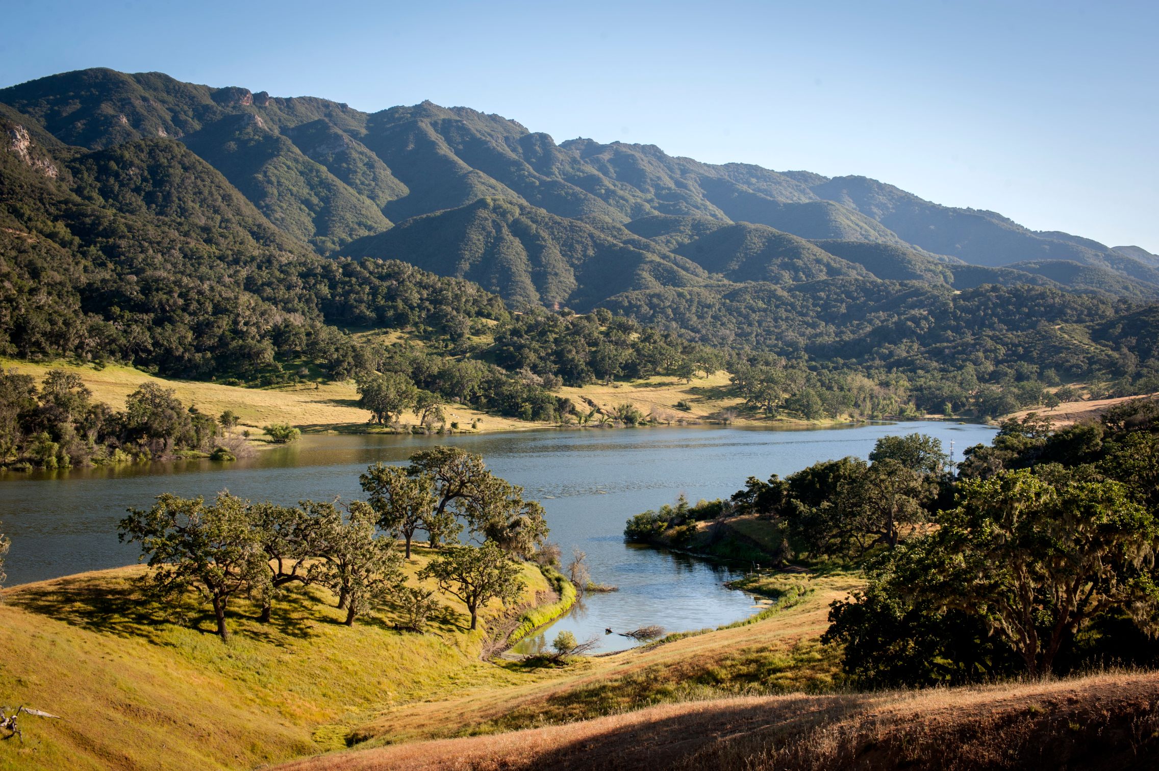 a lake surrounded by trees and mountains
