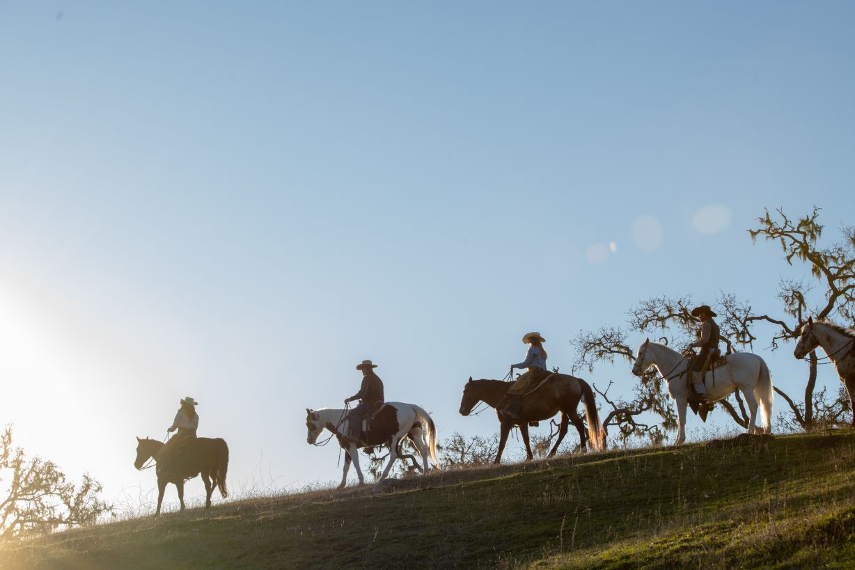 a group of people riding horses on a hill