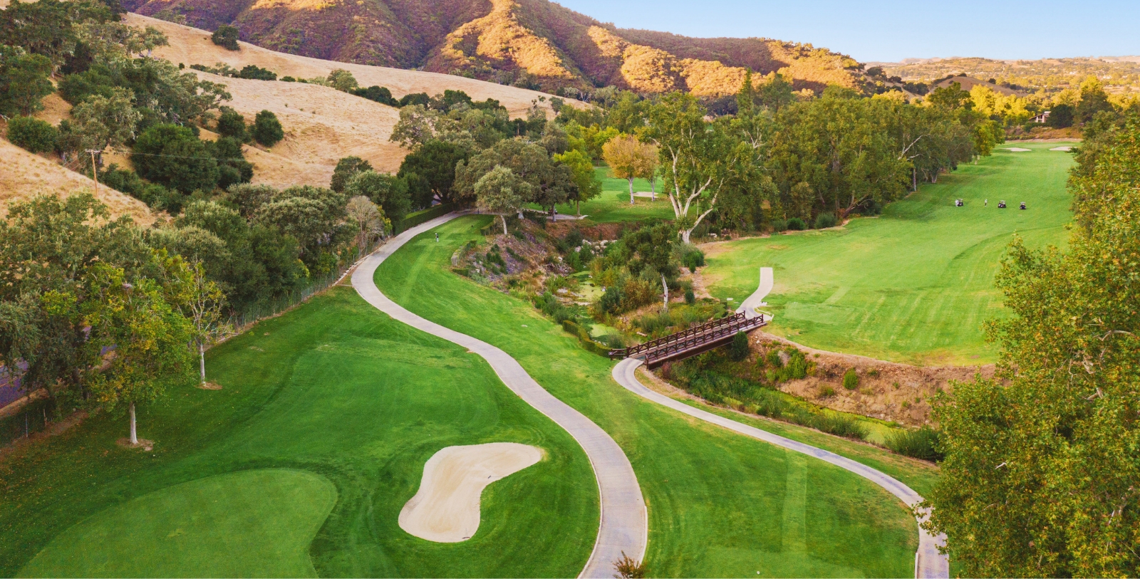 a golf course with a bridge and trees