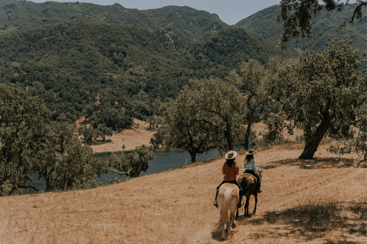 two people riding horses on a hill