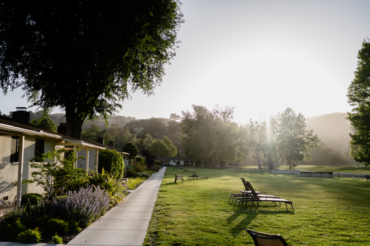 a lawn chairs and a sidewalk in a park