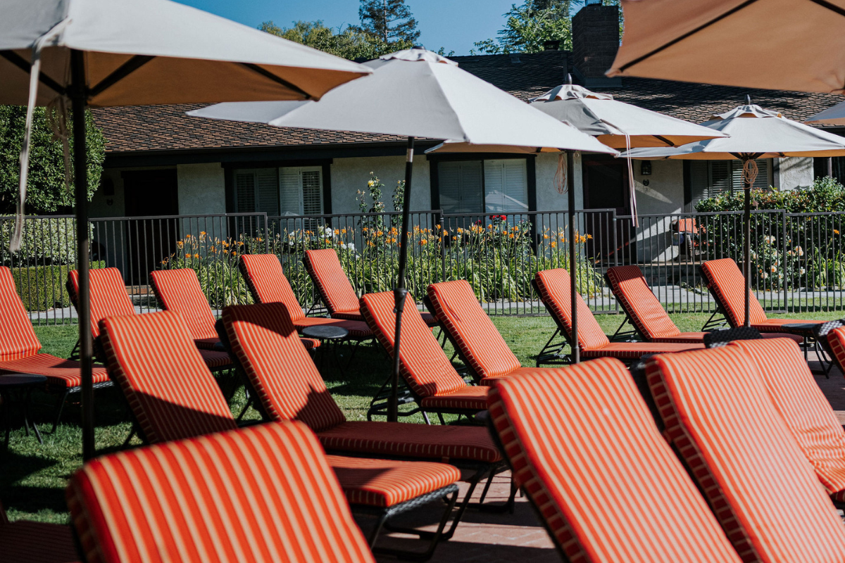 a group of chairs and umbrellas