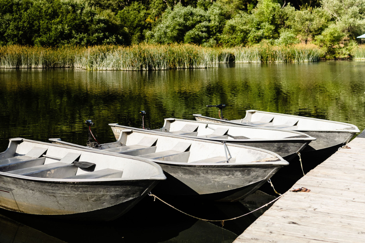 row boats tied to a dock