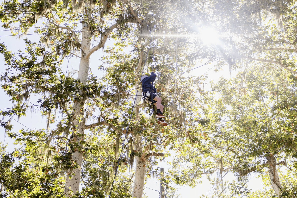 a person in a tree