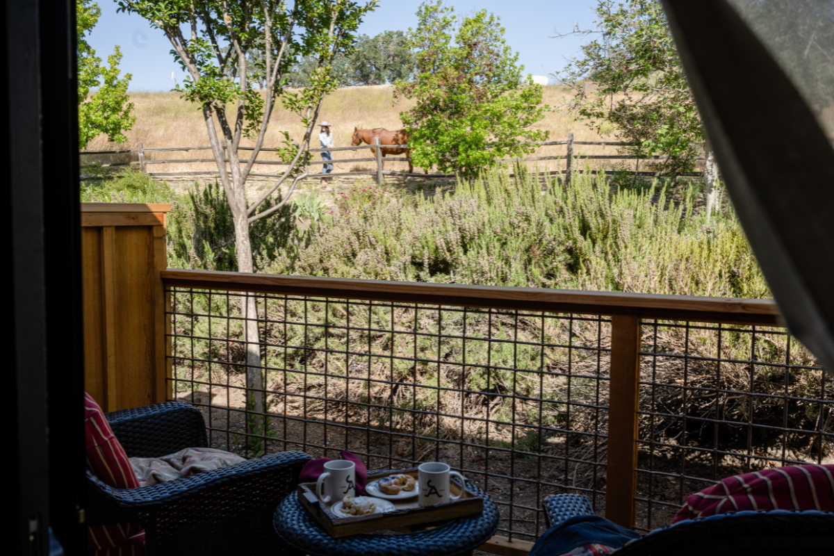 a table with food on it and a person standing on a fence