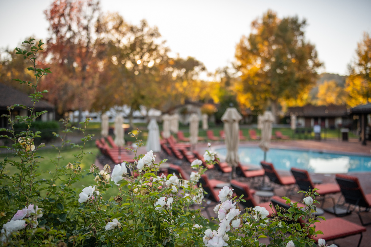 a pool with white flowers and umbrellas