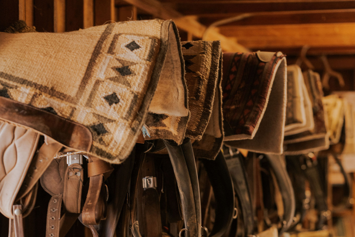 saddles on a wall