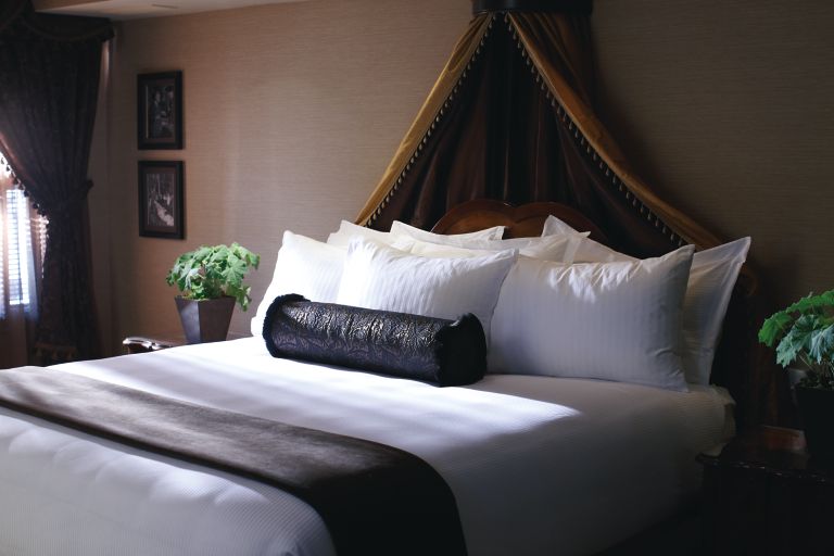 a bed with a canopy over it