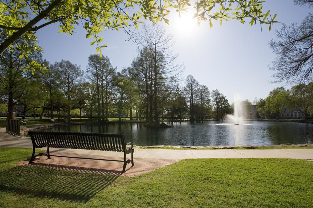 a bench next to a pond with a fountain in the background
