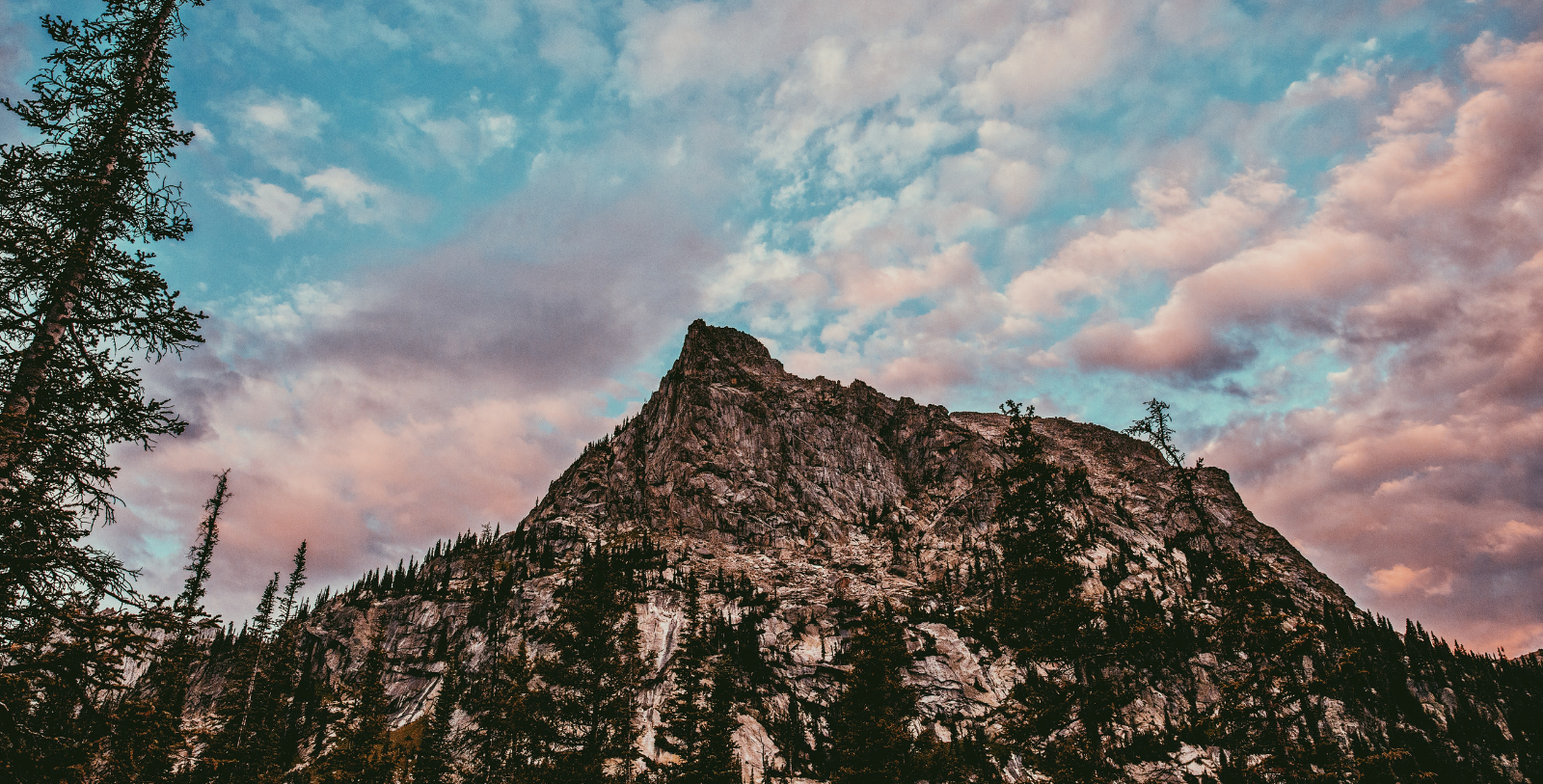 a mountain with trees on top