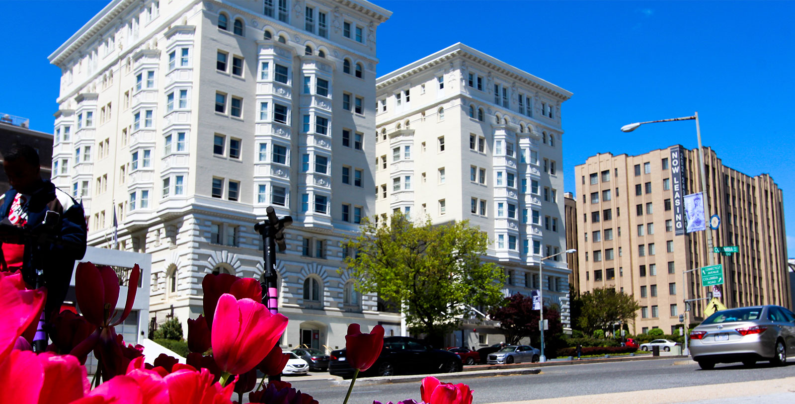 a group of flowers in front of a building