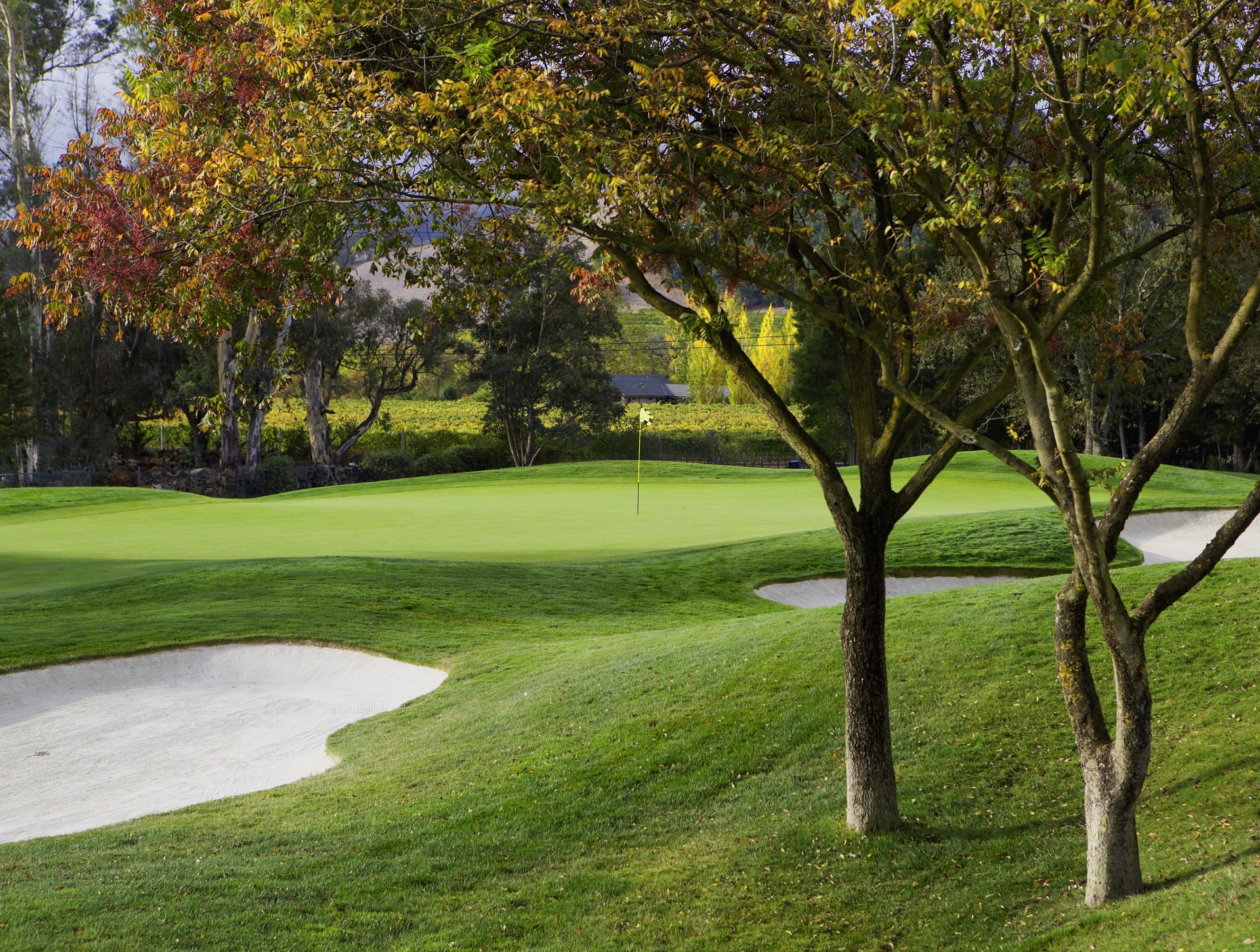 a golf course with sand bunkers and trees
