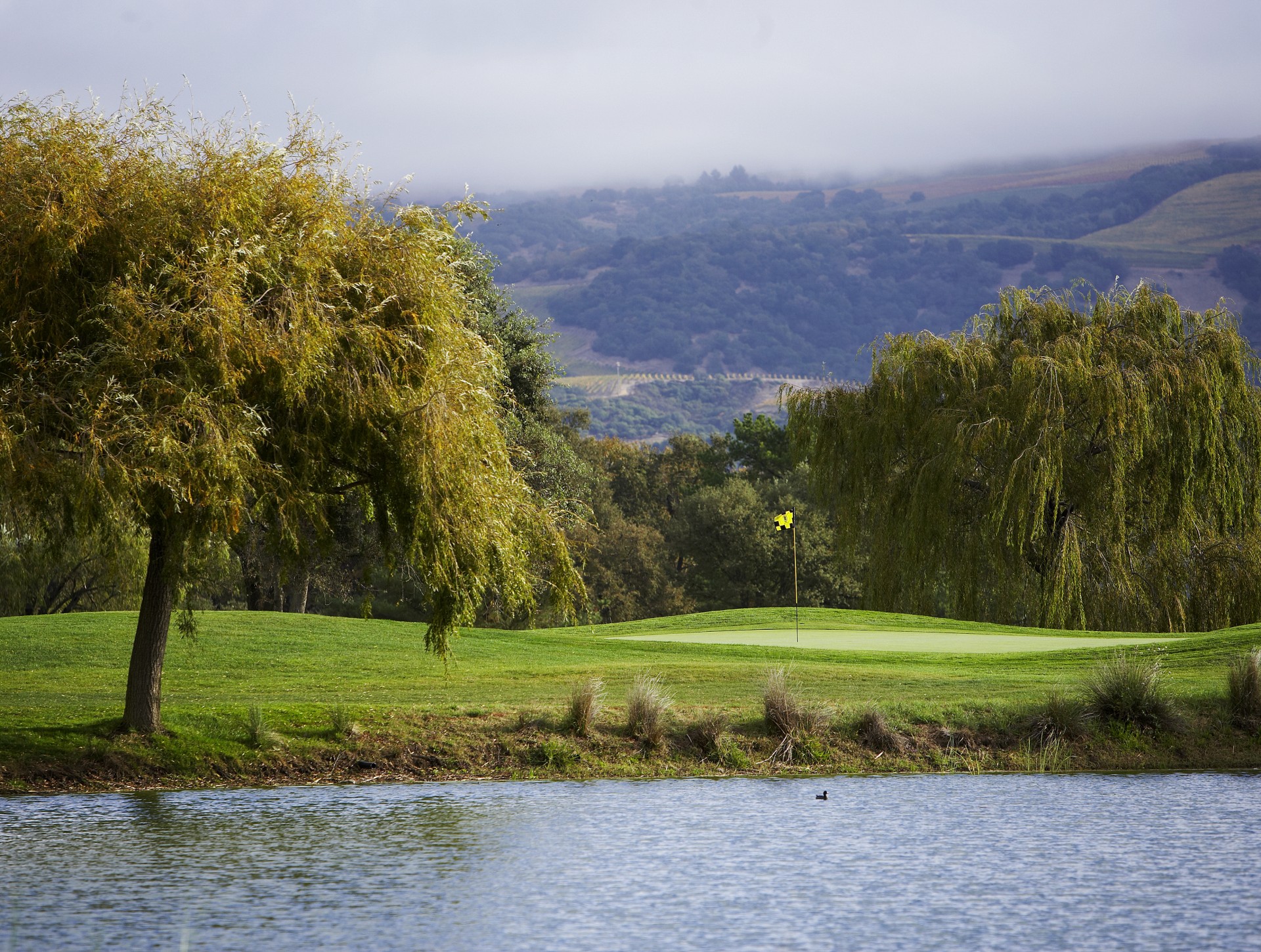 a golf course with a lake and trees