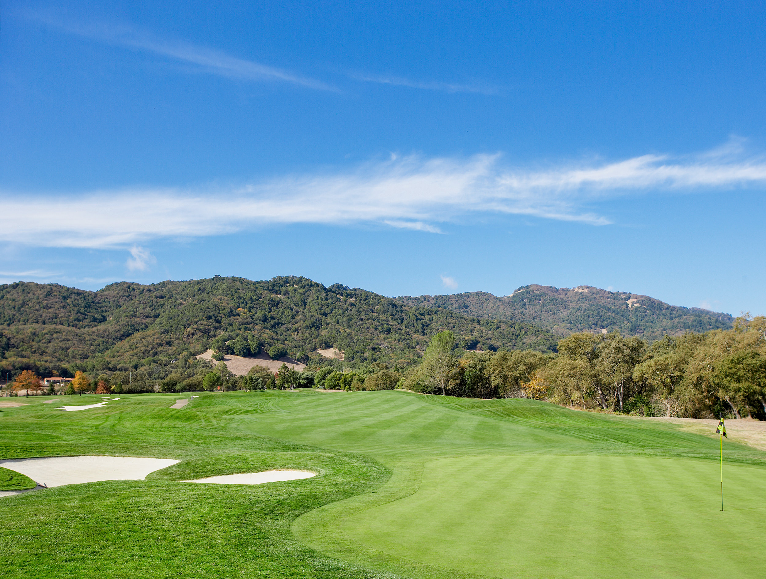 a golf course with trees and mountains in the background