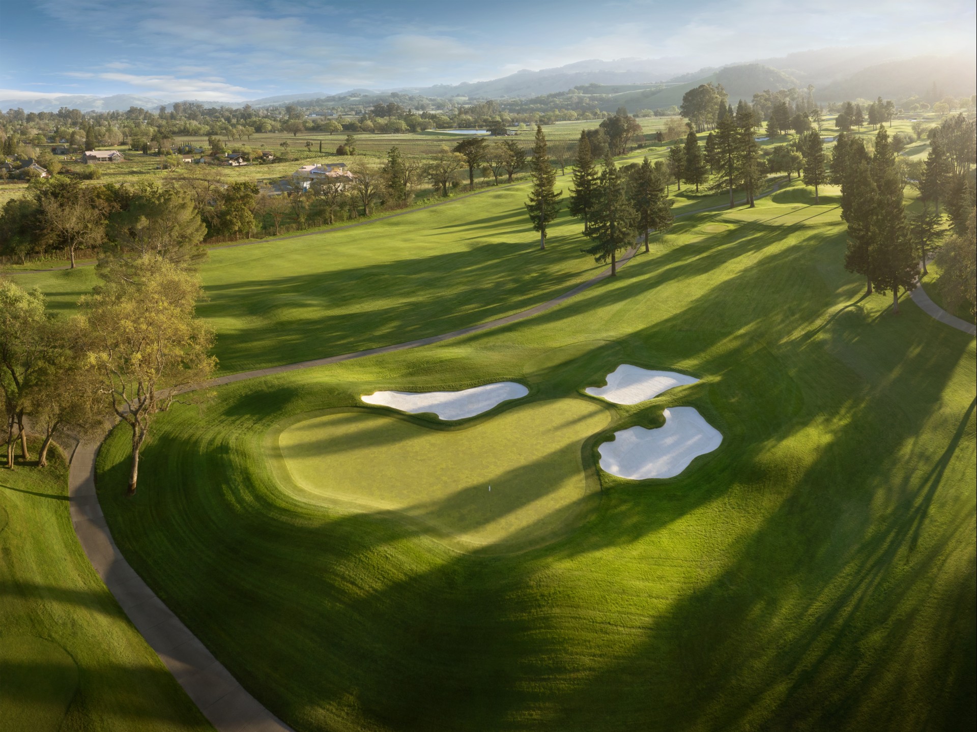 a golf course with a path and trees