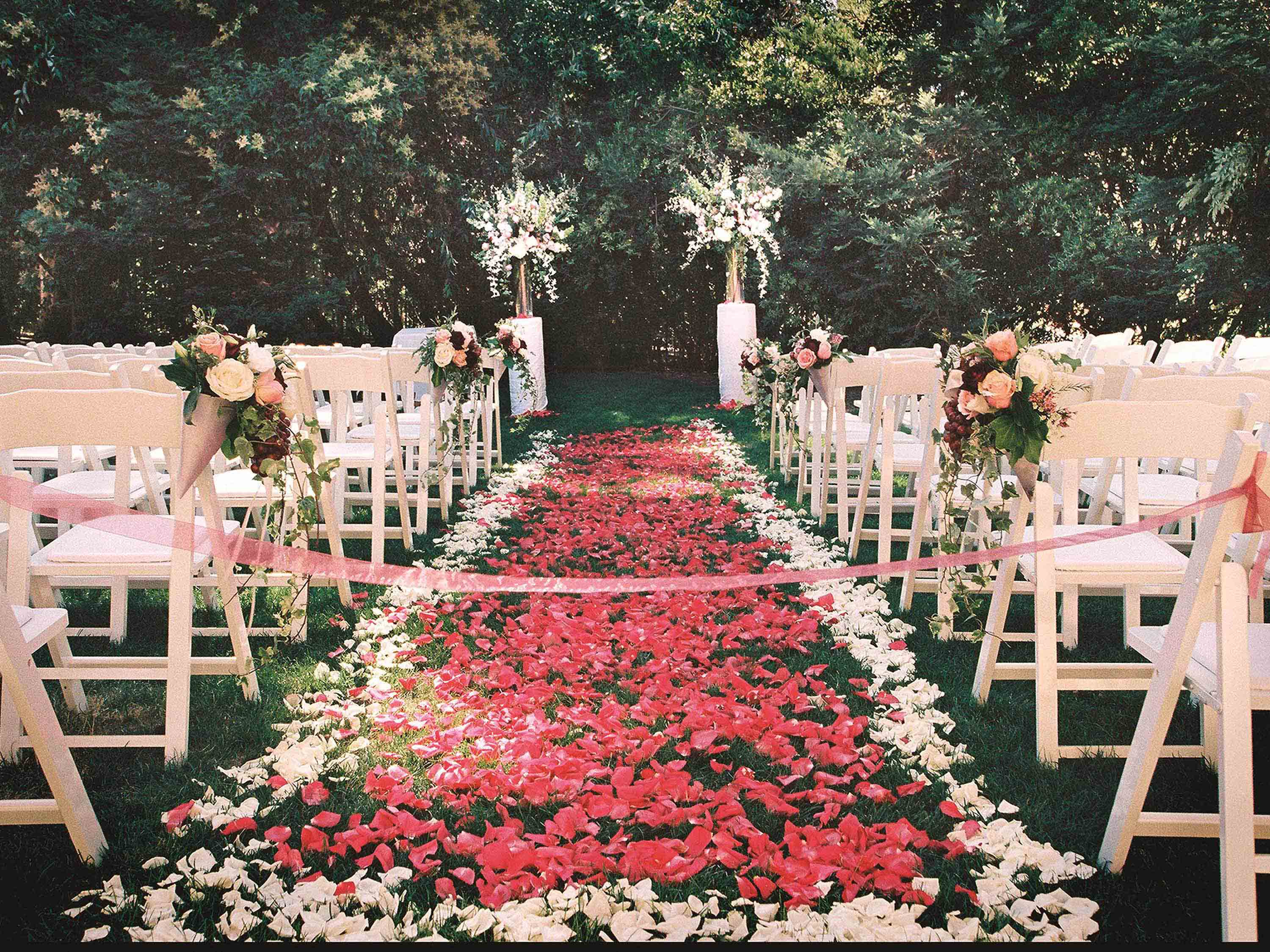 chairs and chairs lined up in a garden