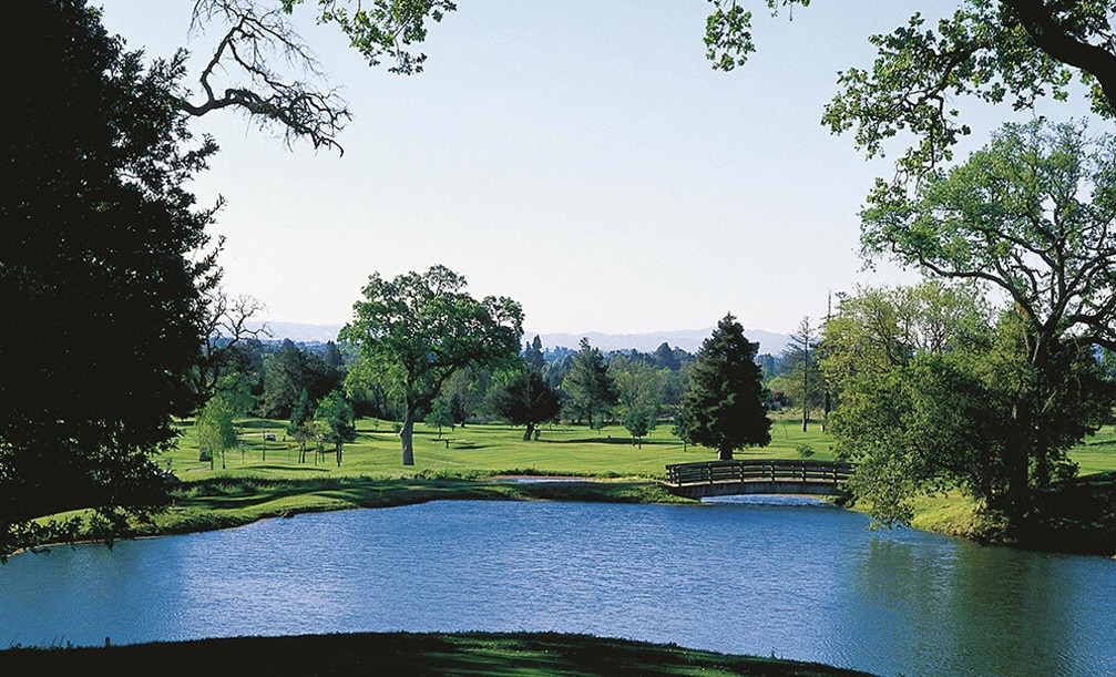 a pond with a bridge over it